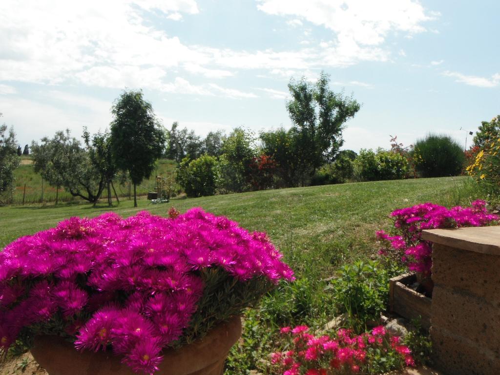 Locanda Degli Etruschi Montalto di Castro Exteriér fotografie