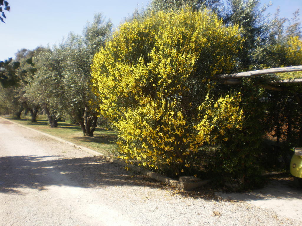 Locanda Degli Etruschi Montalto di Castro Exteriér fotografie